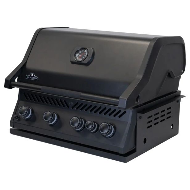 VGRADNI PLINSKI ŽAR NAPOLEON BIR32RBMPK-SI SERIJA 300