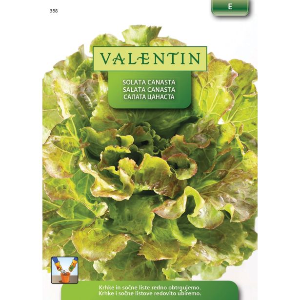 LISTNA ZELENJAVA VALENTIN 388 SOLATA CANASTA