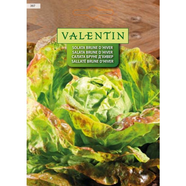 LISTNA ZELENJAVA VALENTIN 397 SOLATA BRUNE D'HIVER