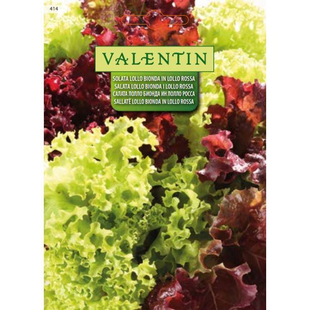 LISTNA ZELENJAVA VALENTIN 414 SOLATA LOLLO BIONDA IN LOLLO ROSSA