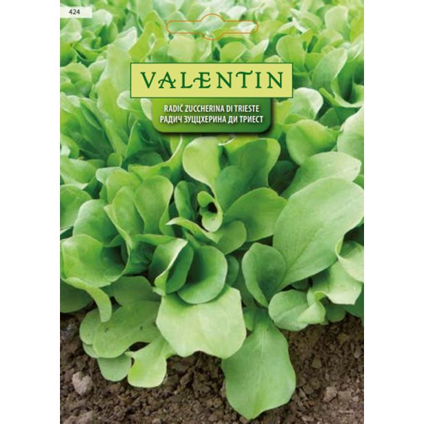 LISTNA ZELENJAVA VALENTIN 424 RADIČ ZUCCHERINA DI TRIESTE
