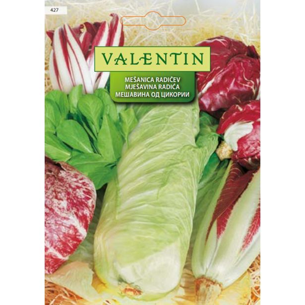 LISTNA ZELENJAVA VALENTIN 427 RADIČ MEŠANICA CICHORIUM INTYBUS