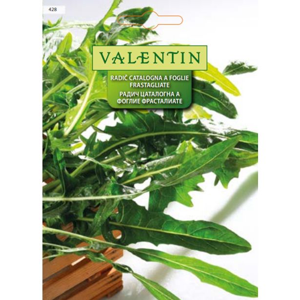 LISTNA ZELENJAVA VALENTIN 428 RADIČ CATALOGNA A FOGLIE FRAST.