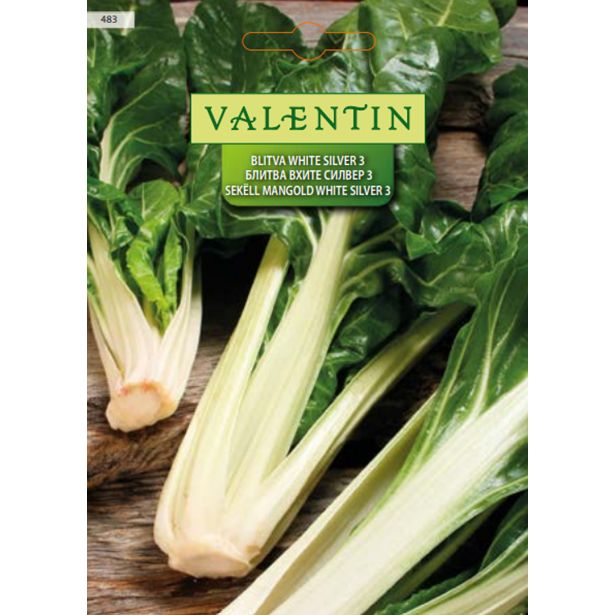 LISTNA ZELENJAVA VALENTIN 483 MANGOLD WHITE SILVER 3