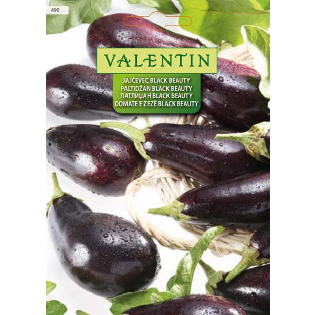 PLODOVKA VALENTIN 490 JAJČEVEC BLACK BEAUTY