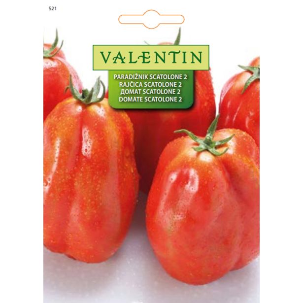 PLODOVKA VALENTIN 521 PARADIŽNIK SCATALONE 2