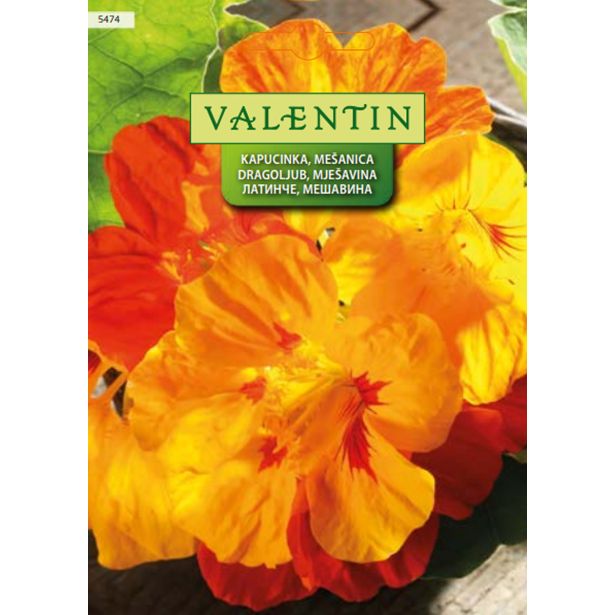 KAPUCINKA VALENTIN 5474 MEŠANICA