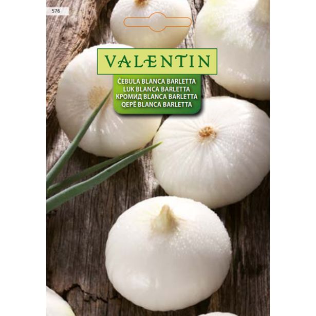 ČEBULNICA VALENTIN 576 ČEBULA BLANCA BARLETTA