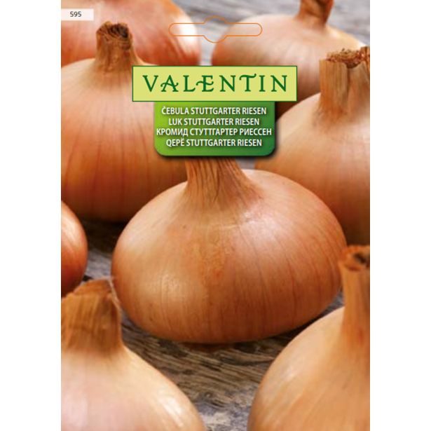ČEBULNICA VALENTIN 595 ČEBULA STUTTGARTER RIESEN
