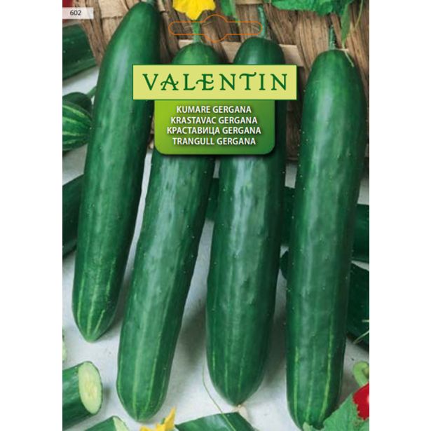 PLODOVKA VALENTIN 602 KUMARE GERGANA