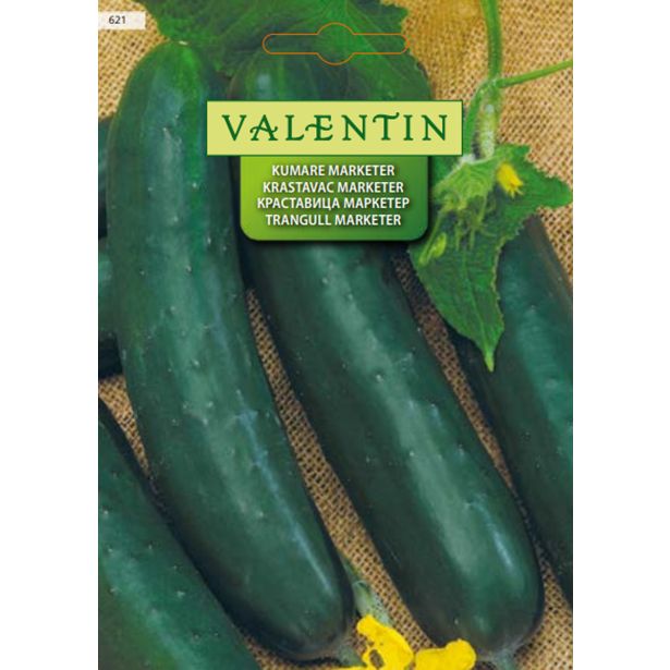 PLODOVKA VALENTIN 621 KUMARE MARKETER