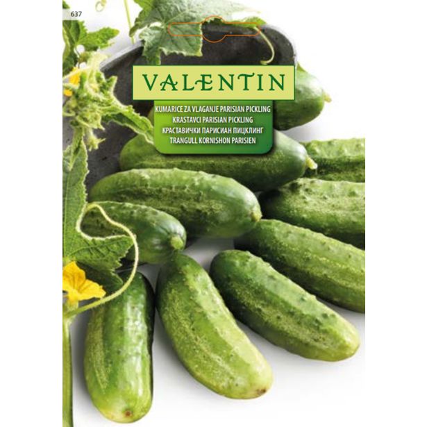 PLODOVKA VALENTIN 637 KUMARE PARISIAN PICKLING