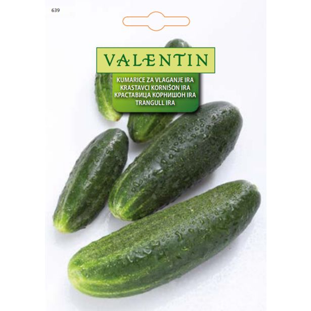 PLODOVKA VALENTIN 639 KUMARE IRA