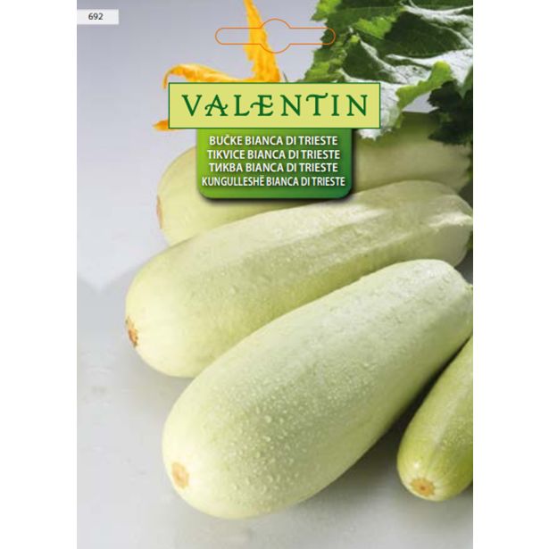 PLODOVKA VALENTIN 692 BUČKE BIANCA DI TRIESTE