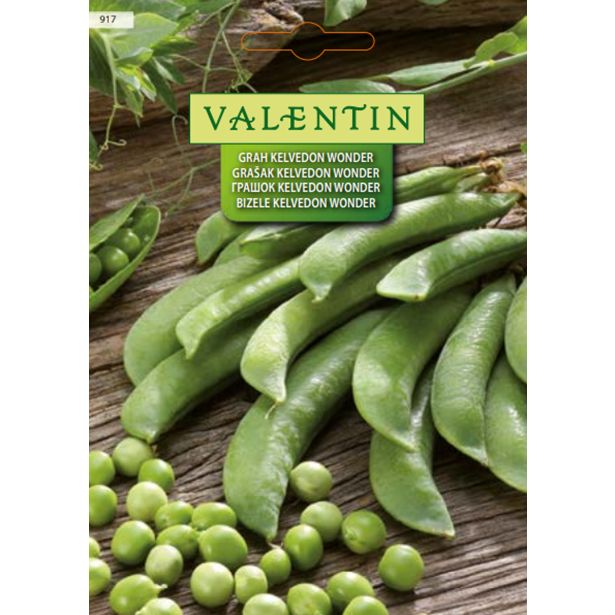 STROČNICA VALENTIN 917 GRAH KELVEDON WONDER