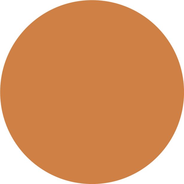 FASADNA BARVA JUB ACRYLCOLOR OKER 0.75 L