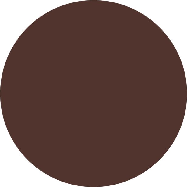 FASADNA BARVA JUB ACRYLCOLOR TEMNO RJAV 0.75 L
