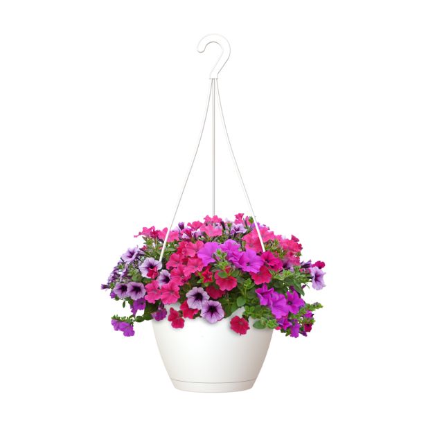 PE ZUNANJI LONEC ALGARVE BEL 25CM