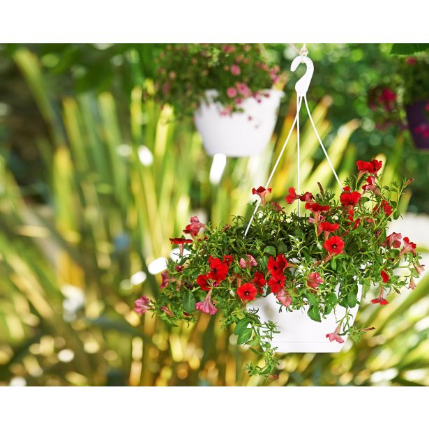 PE ZUNANJI LONEC ALGARVE BEL 25CM