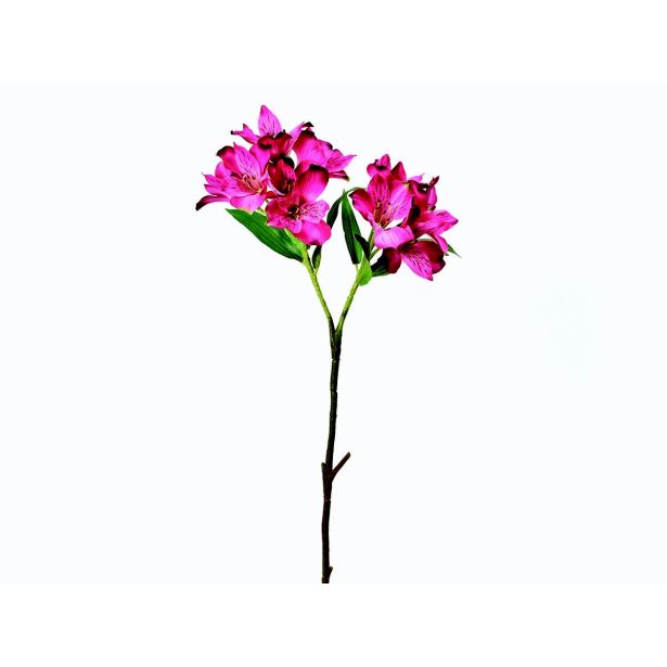 SUHO CVETJE ALSTROMERIJA VEJICA X2 CIKLAMA