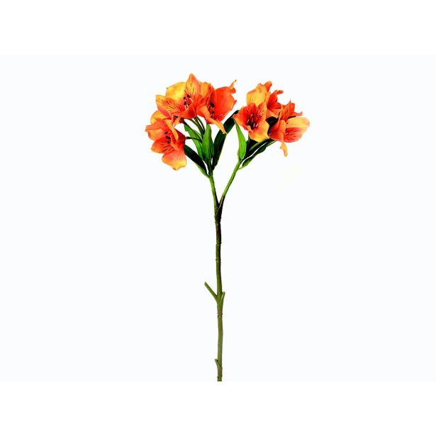 SUHO CVETJE ALSTROMERIJA VEJICA X2 ORANŽNA