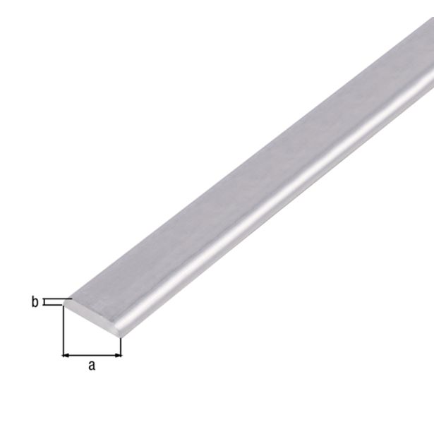 PLOSKA PALICA ALBERTS ALU, 19X4X1000 MM Z ZAOBLJENIMI ROBOVI