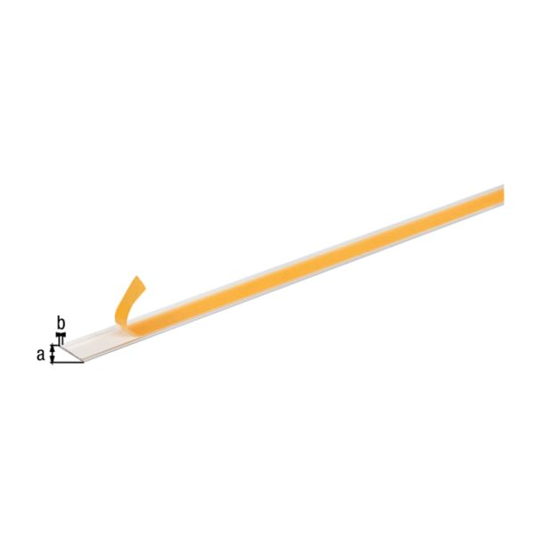 PLOSKA PALICA ALBERTS ALU, 30X2X1000 MM SIVO ELOKSORANA