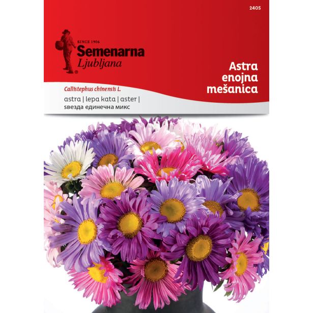 ASTRA SEMENARNA ENOJNA MIX 2405