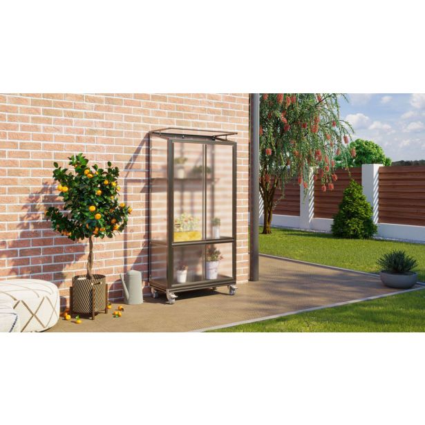 BALKONSKI RASTLINJAK VITAVIA POLIS HKP4MM ROLL FOUNDATION, BLACK