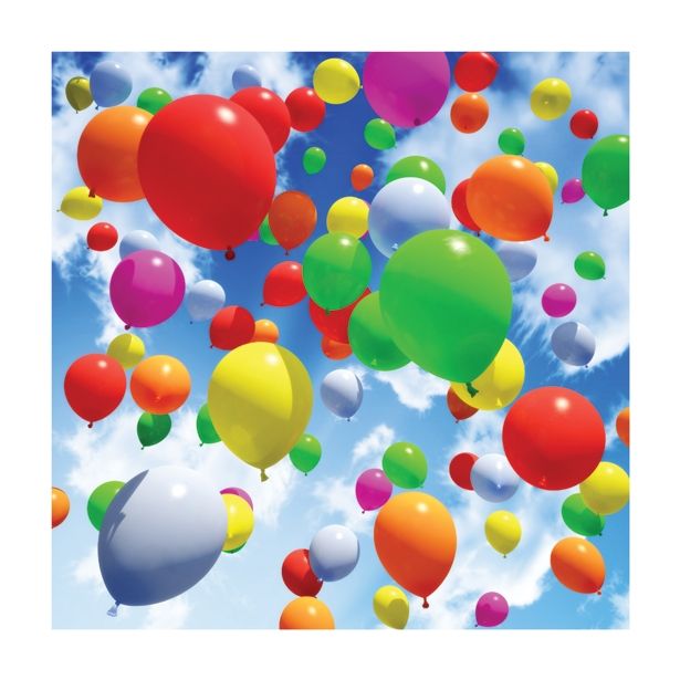 PLINSKI GORILNIK ROTHENBERGER BALLON PARTY SET