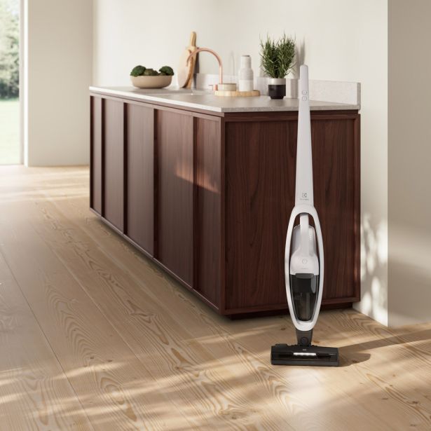 BATERIJSKI SESALNIK ELECTROLUX ES52CB18SH