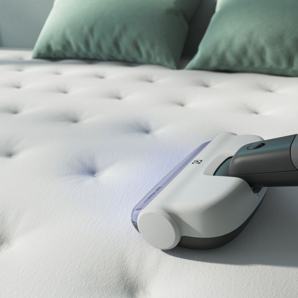 BATERIJSKI SESALNIK ELECTROLUX ES52HB25SH