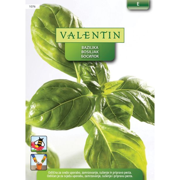 SEMENA VALENTIN BAZILIKA 1076