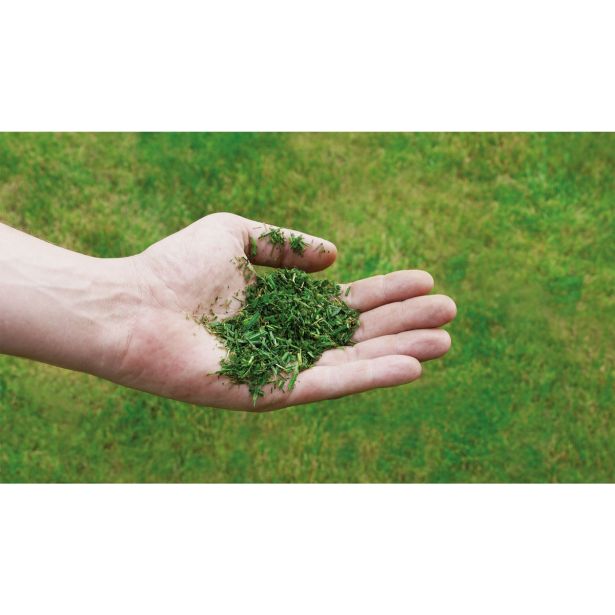 BENCINSKA KOSILNICA EINHELL GC-PM 56 S HW