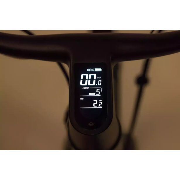 ELEKTRIČNO KOLO BIRD A FRAME GRANITNO SIVA