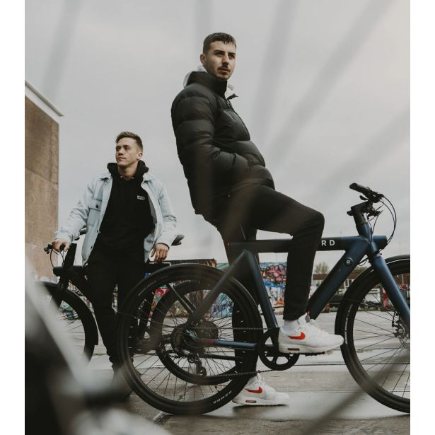 ELEKTRIČNO KOLO BIRD A FRAME MODER