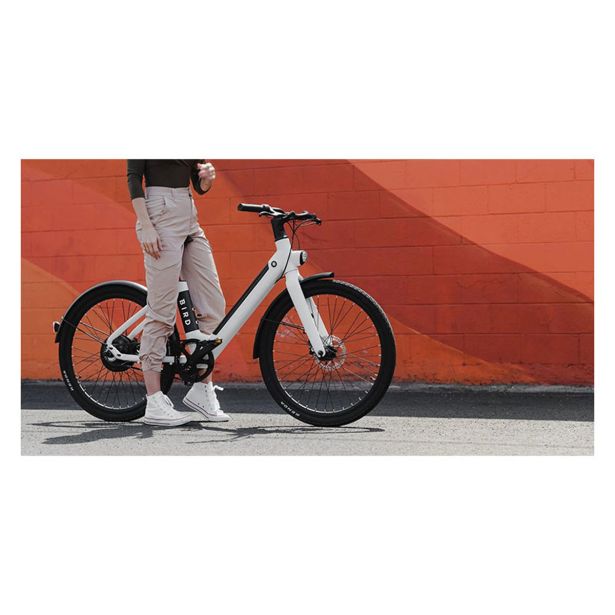 ELEKTRIČNO KOLO BIRD BIKE V-FRAME BEL