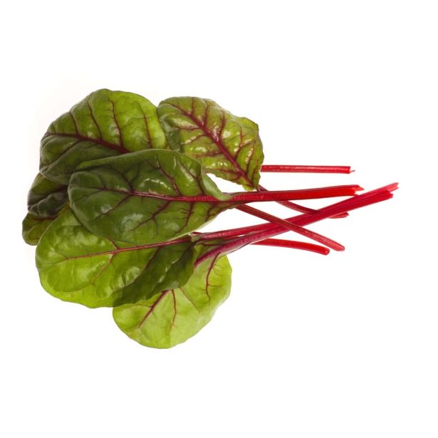 LISTNA ZELENJAVA L'ORTO FRUTTIFERO BLITVA 8/1 RHUBARB CHARD KULTIPAK