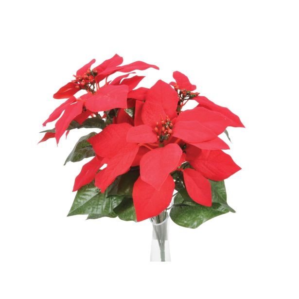 SVILENO CVETJE DAR BOŽIČNA ZVEZDA ŠOPEK X7 ŽAMET