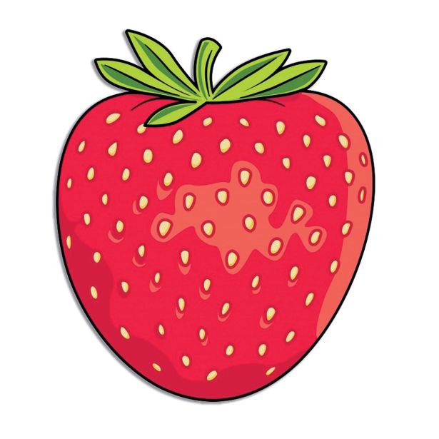 BRISAČA SIRETESSILE PLAŽNA KAKTUS, ANANAS JAGODA IN LUBENICA