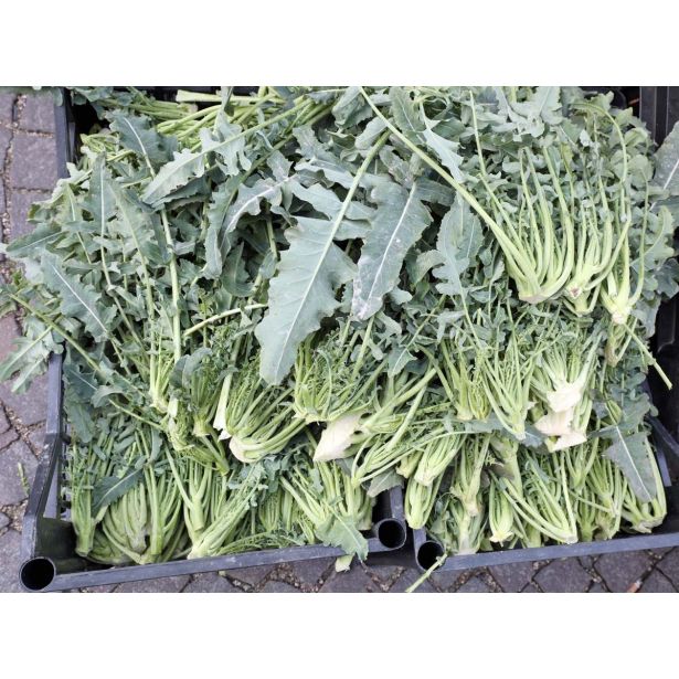 KAPUSNICE L'ORTO FRUTTIFERO BROKOLI 4/1 DI CREAZZO KULTIPAK