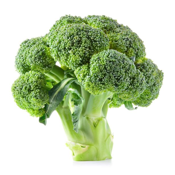 KAPUSNICE L'ORTO FRUTTIFERO BROKOLI 4/1 MARATHON F1 KULTIPAK