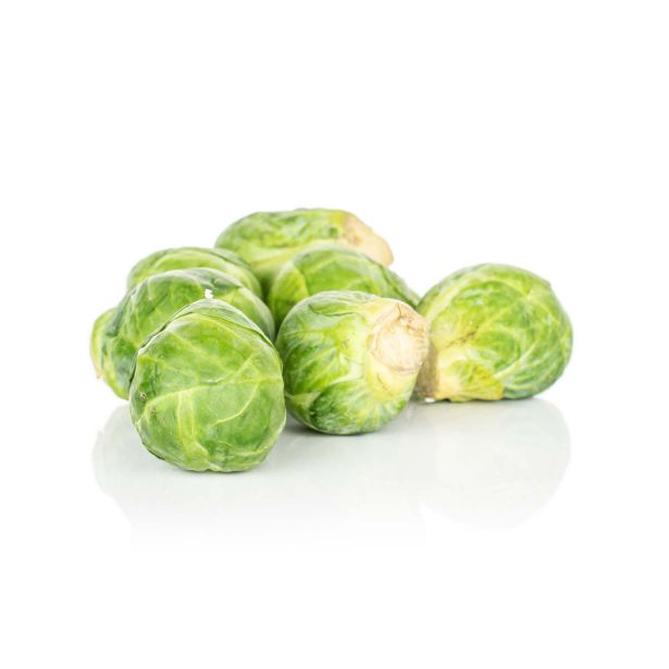 KAPUSNICE L'ORTO FRUTTIFERO BRSTIČNI OHROVT 4/1 BRIGITTE F1 KULTIPAK