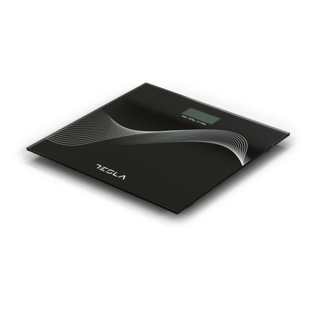 ELEKTRON. OSEBNA TEHTNICA TESLA BS102B