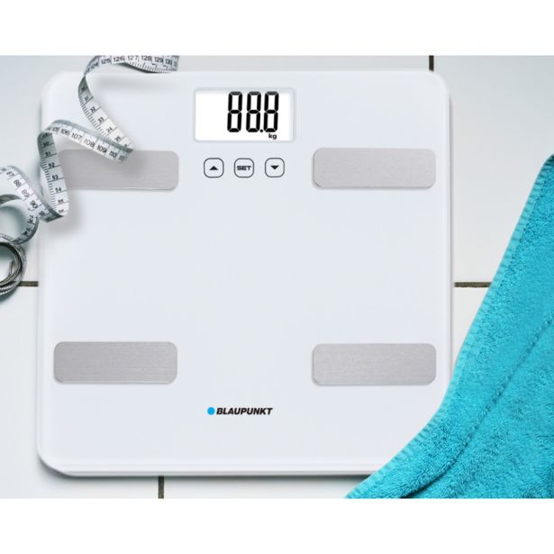 ELEKTRON. OSEBNA TEHTNICA BLAUPUNKT BSM501