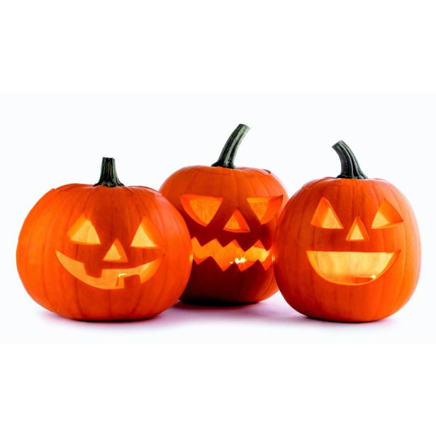 PLODOVKE L'ORTO FRUTTIFERO BUČA NOČ ČAROVNIC 1/1 ASPEN F1 L10