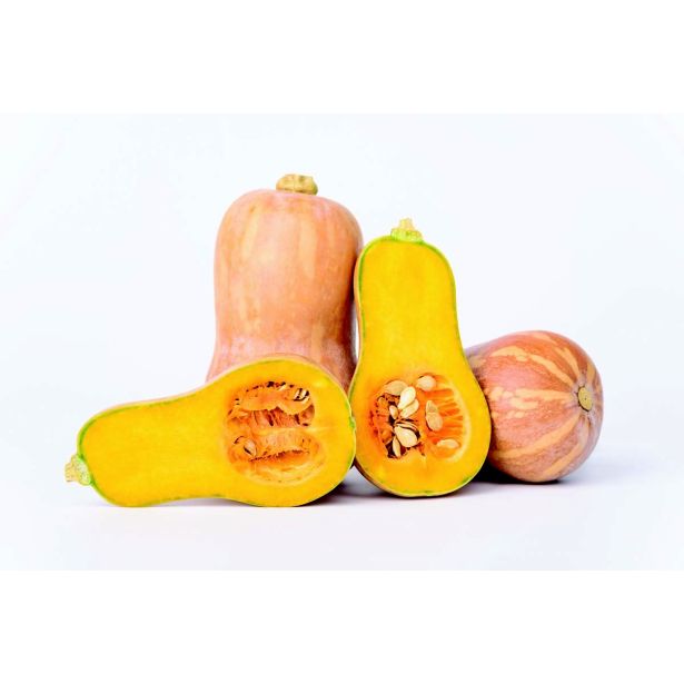 PLODOVKE L'ORTO FRUTTIFERO BUČA VIOLINA 1/1 VIOLINA RUGOSA L10