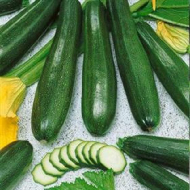 PLODOVKE DOBRO & ZDRAVO BUČKA KIMBER CEPLJEN CUKINI