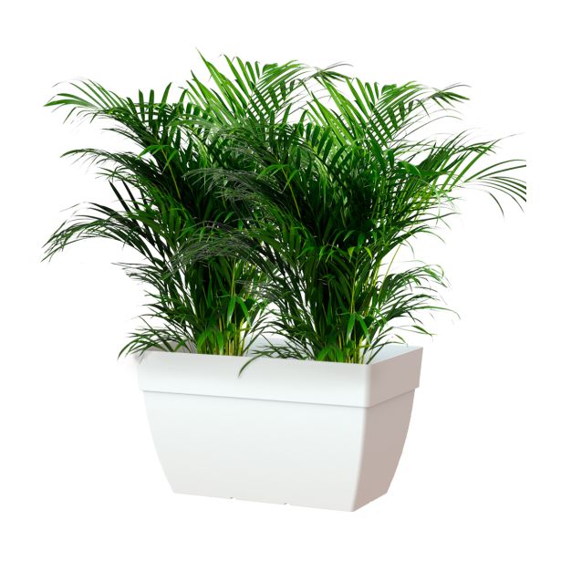 PE ZUNANJI LONEC CAPRI XL BEL 80X40CM