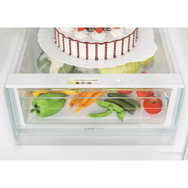 HLADILNIK IN ZAMRZOVALNIK CANDY CCE4T620EW